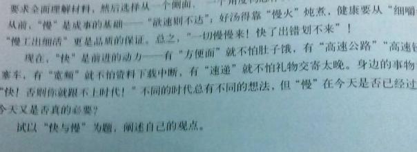 理想_800字