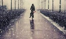 没有最好，只有最合适_900字