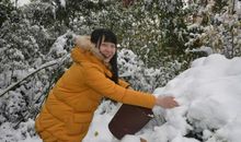 忆往昔，一缕梅香_650字