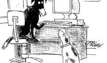 1984 和美丽新世界存在的矛盾，世界需要质疑——关于乌托邦的几点思考_3000字