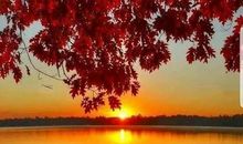 公平是对世界的自我认识_1200字