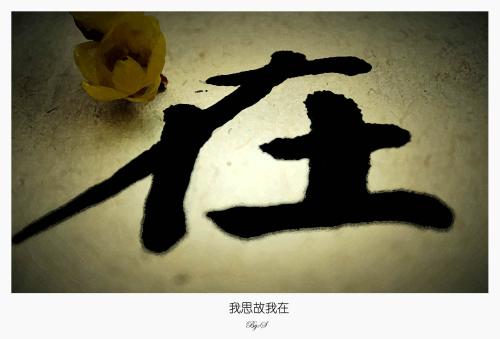 伽利略坐在教堂里，摇晃枝形吊灯叫他内心的疑惑，亚里士多德理论是世界的“圣经”，但这不是他的甜蜜。这对比萨斜塔的令人惊讶的实验开启了古代历史的悖论。理想的实验，观察宇宙，他在思考时发现。在世界上现代物理学的历史中，他的思想和探索，如明亮的光线，迈出古耀。