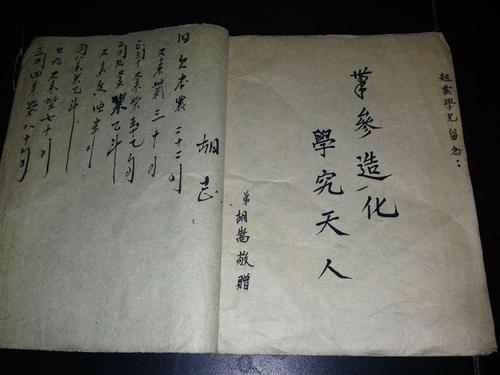 Argument_600字
