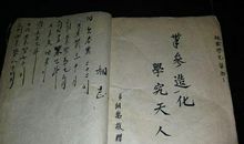 论志_600字
