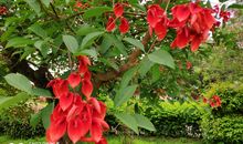 16岁，春天般的年华_800字