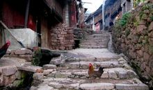 终将盛满叹息的行囊_750字