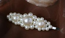 珍珠是怎样炼成的_900字