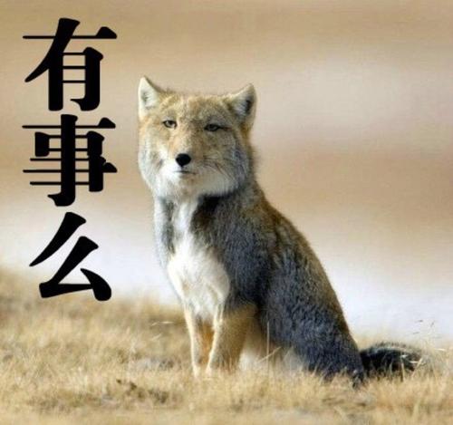 每一刻，我们都创造自己_1200字