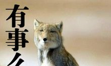 每时每刻，我们都在创造着自己_1200字