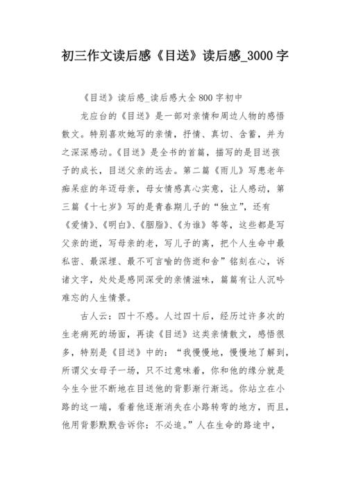忽略，通常是最重要的_800字