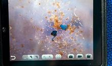 一直以来人类都是自食其果_900字