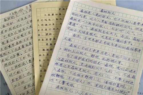 诱惑_800字