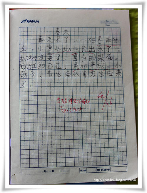 在“问题”上_800字