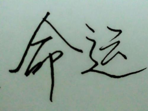 用你自己的手制作命运_700字