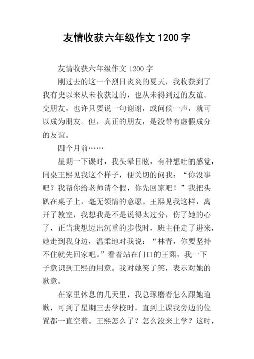 友谊？ _1200字