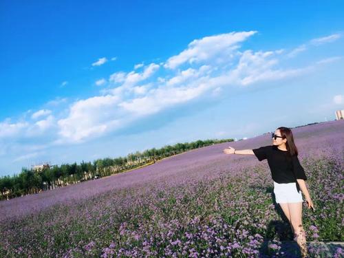 真实高尚的_700字