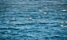 时间的海水_800字