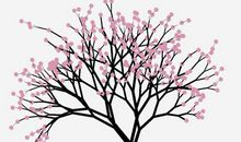 坚持是一棵会开花的树_1200字