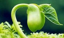 那一刻，我们共同感悟生命_1000字