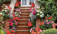 如果我有永远的快乐_1200字