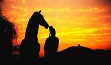 早岁应知世事艰_800字