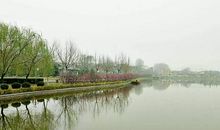 生命的底线_250字