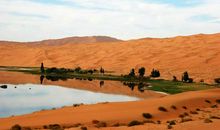 拾荒者的凡人本色_1500字