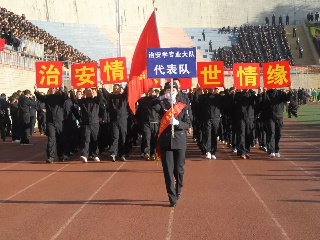青春作为火焰_800字
