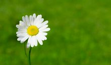 一笑回首，忧虑不在_3000字