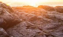 ——致时间_900字