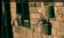 再见，旧时光_750字