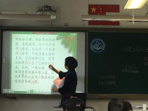 石针之间的生活_900字