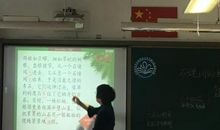 石缝间的生命_900字