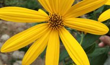 生命因相拥而美_750字