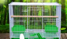 第二个笼子_400字