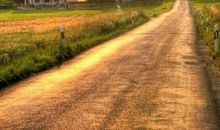 一路有您_1200字