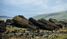 我与世无争_1000字