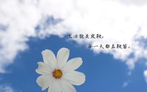 谈论大学入学考试 - 缺少不仅仅是感受_1200字