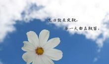 谈高考——缺失的不只是感情_1200字