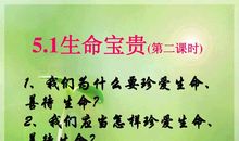 善待生命_2000字