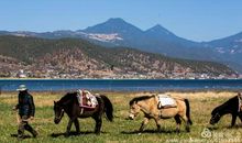 [暑假生活]难忘的云南之行_3000字