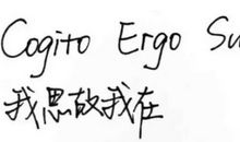 我优故我在_900字