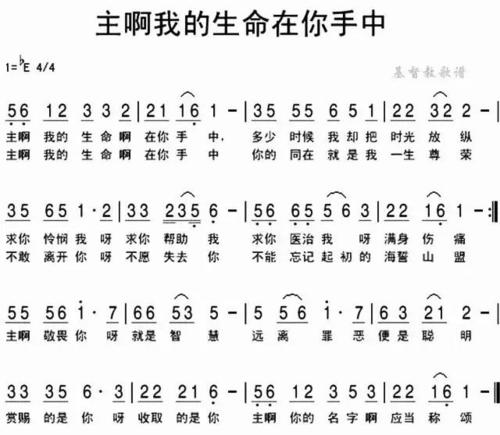 你的手是什么？ _900字