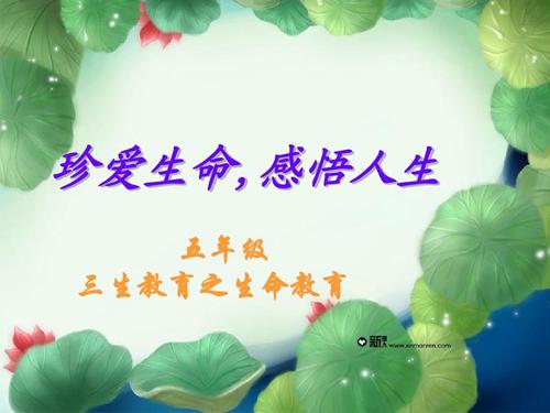 感觉生活，感受生活_700字