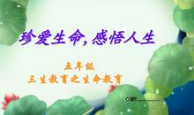 感悟人生，感悟生命_700字