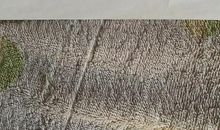 从那一刻开始，我长大了_700字