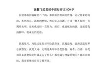 缺点与优点的相对性_800字