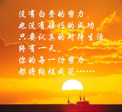 省内自我激励的花朵_1200字
