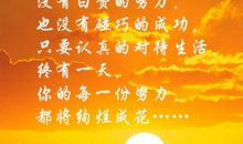 自省孕育成功之花_1200字