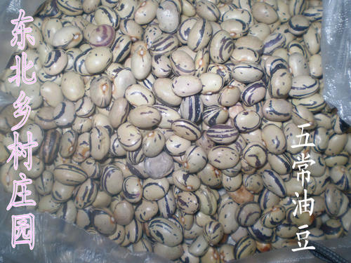 为什么不改变一点_750字